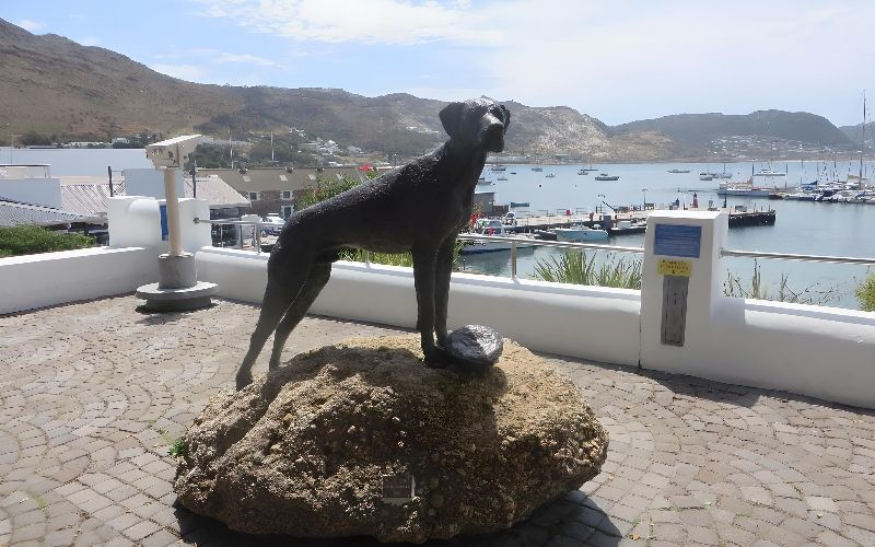 Just Nuisance Statue, Jubilee Square in Simon's Town